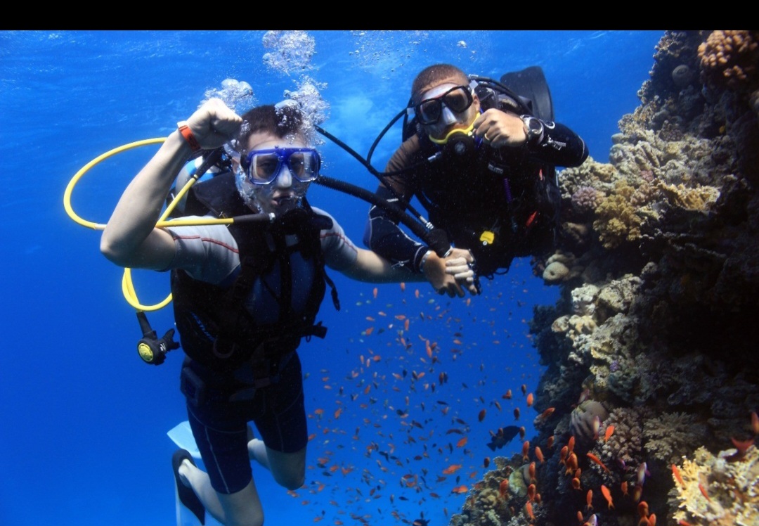 2PADI Scuba Diver