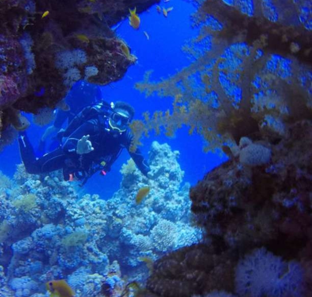 3PADI Scuba Diver