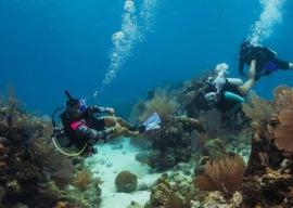 PADI Open Water Scuba Instructor