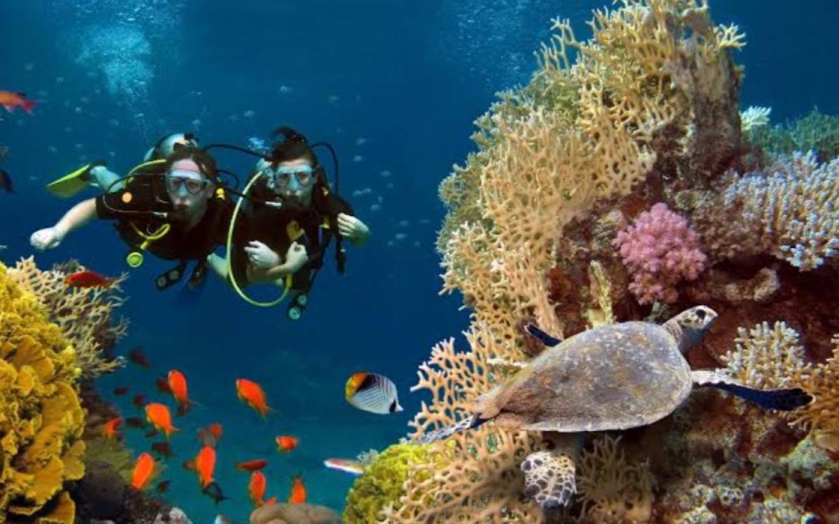 Discover Scuba Diving