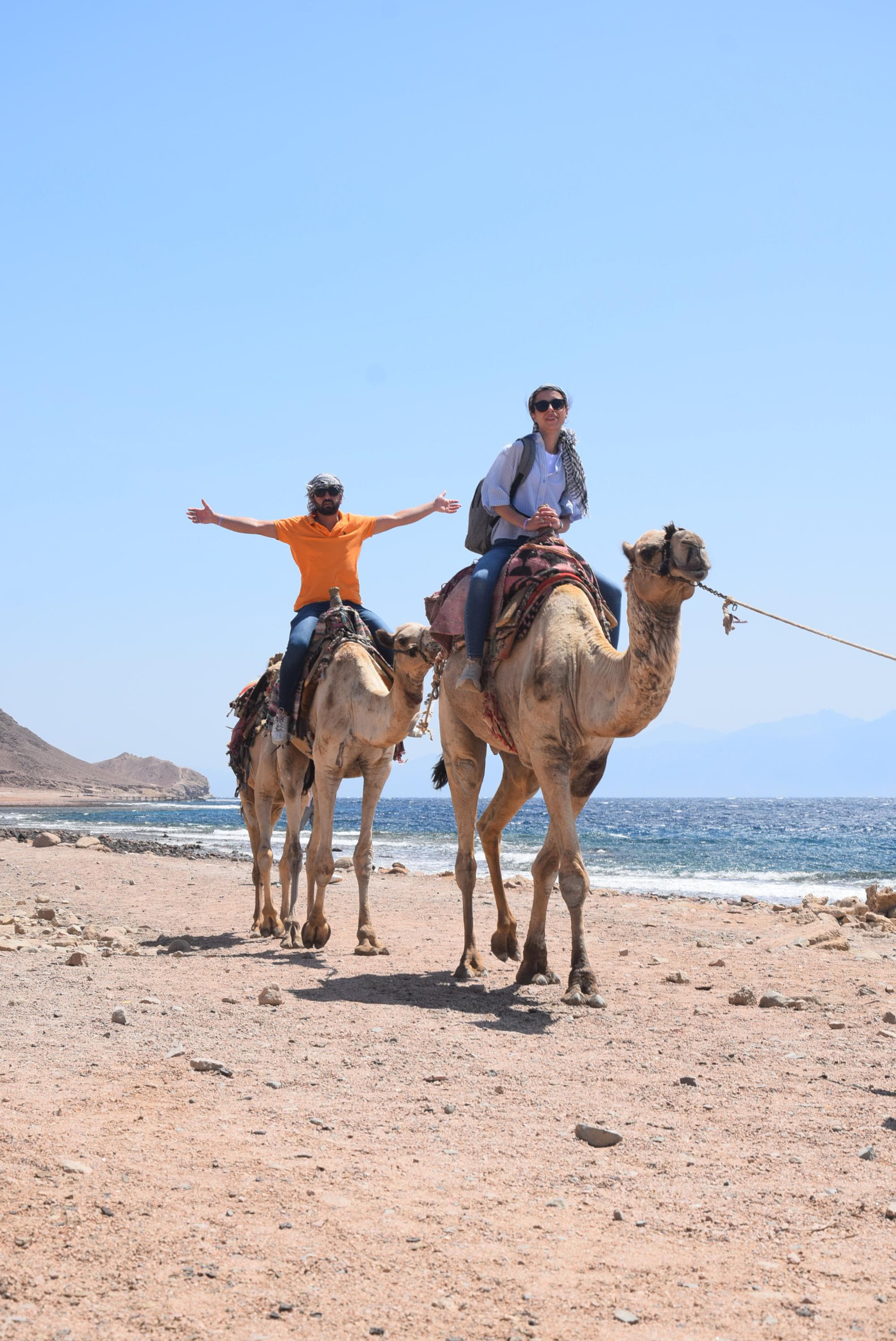 2🇪🇬 Насыщенный тур в Шарм-эль-Шейх + поездка в Каир (6 дней без проживания)