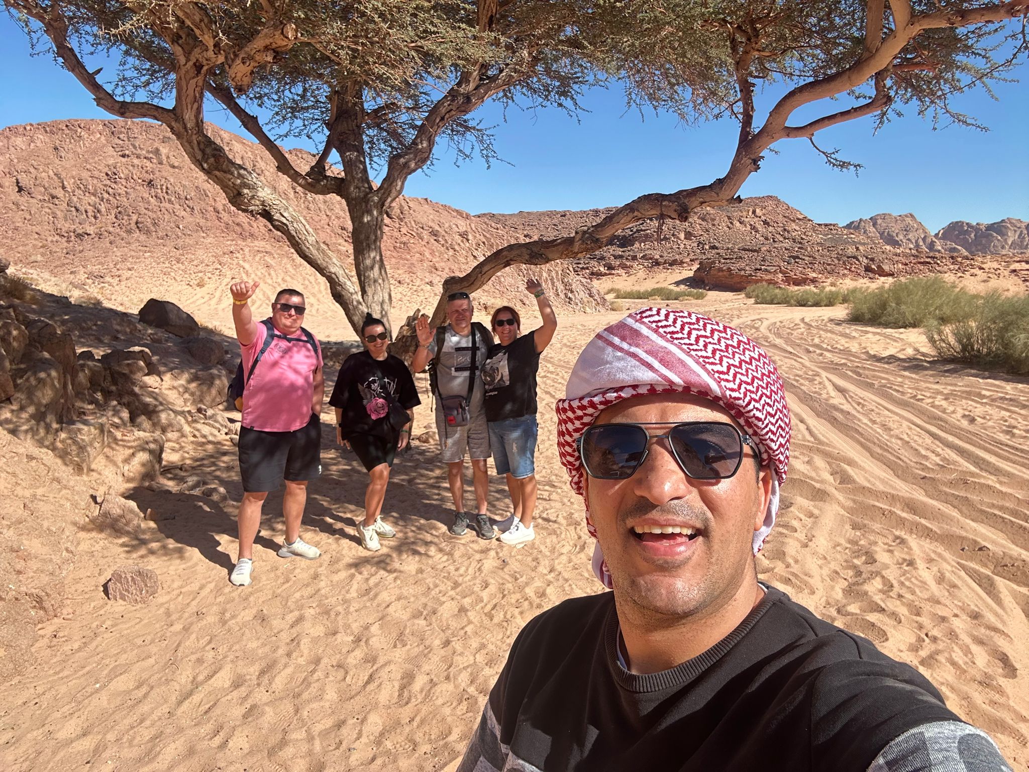 12🇪🇬 Насыщенный тур в Шарм-эль-Шейх + поездка в Каир (6 дней без проживания)