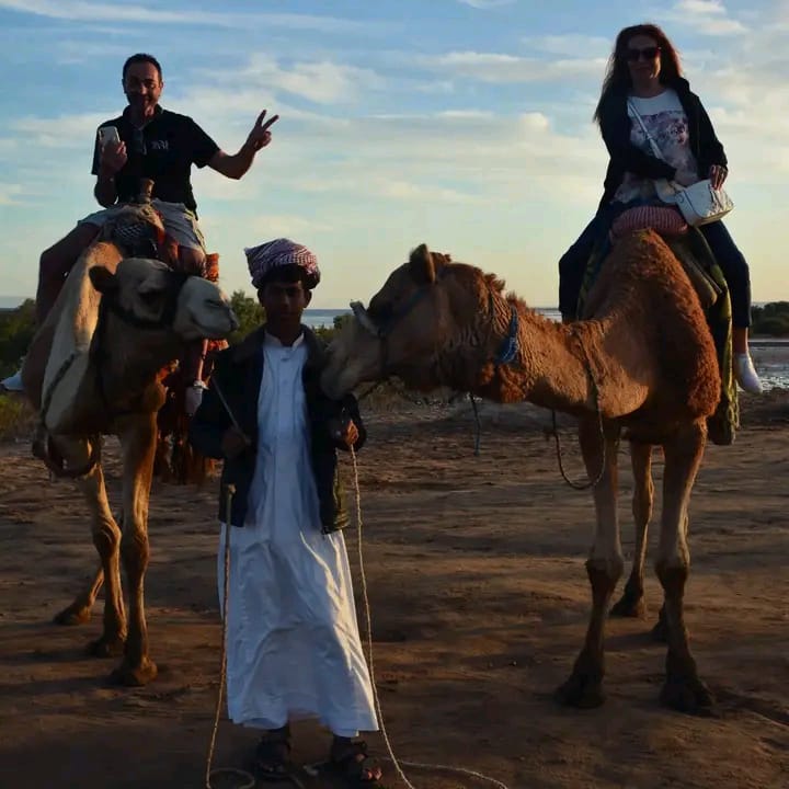 4🇪🇬 Насыщенный тур в Шарм-эль-Шейх + поездка в Каир (6 дней без проживания)