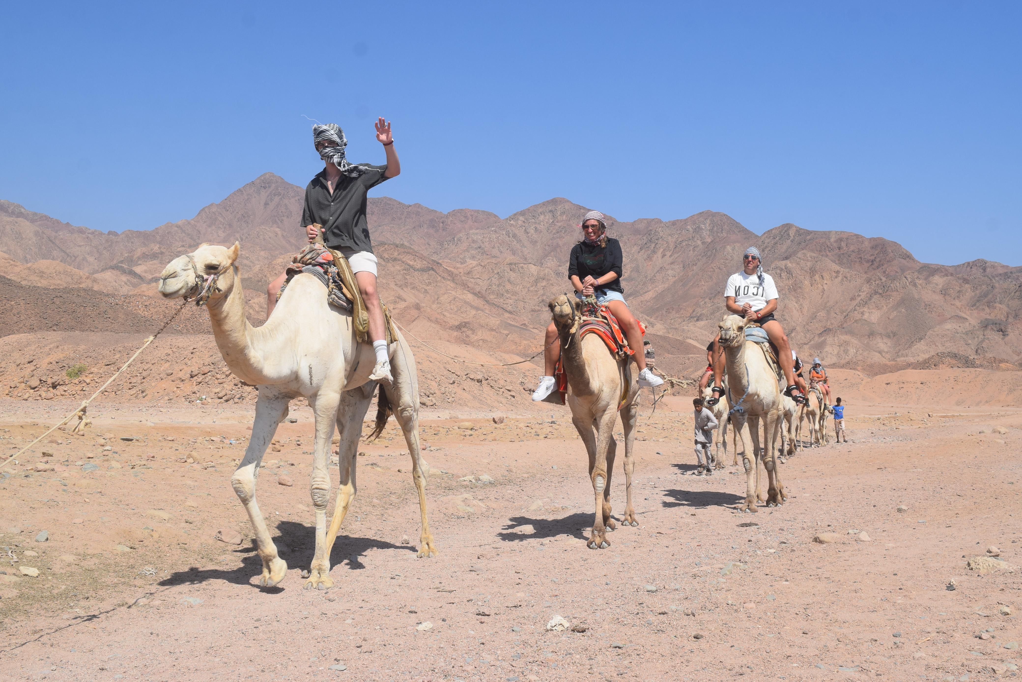5🇪🇬 Насыщенный тур в Шарм-эль-Шейх + поездка в Каир (6 дней без проживания)