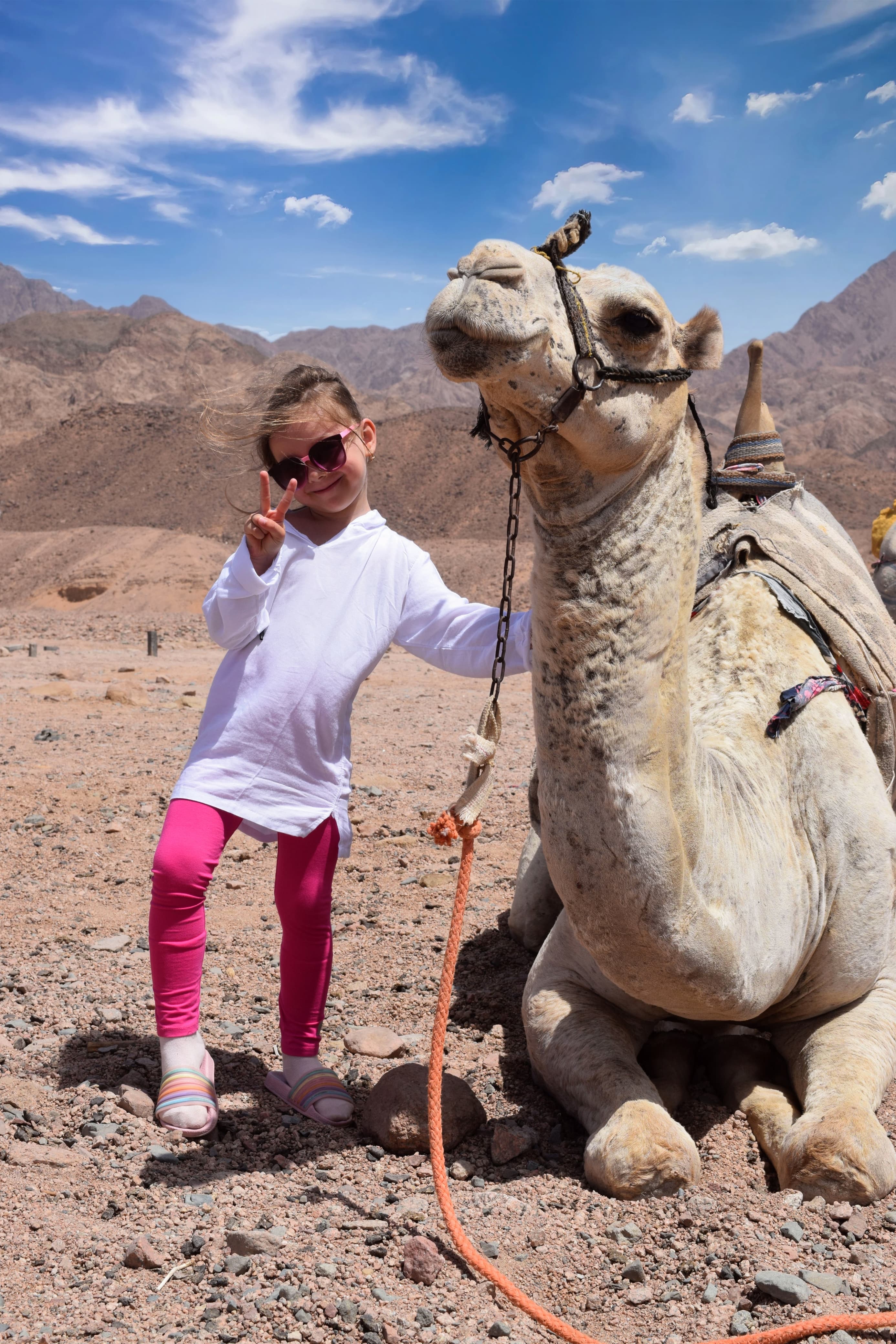 7🇪🇬✈️ Волшебный 6-дневный отдых в Египте, полный моря, пустыни и истории!