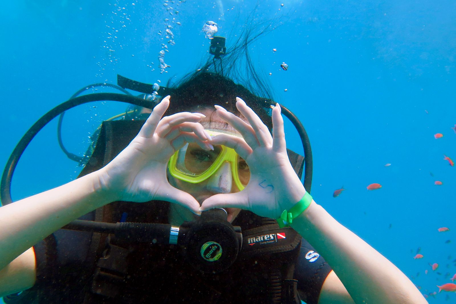 1Immersioni dalla riva a Sharm El Sheikh – scopri uno dei posti migliori al mondo per fare diving! 🤿🌊💙✨