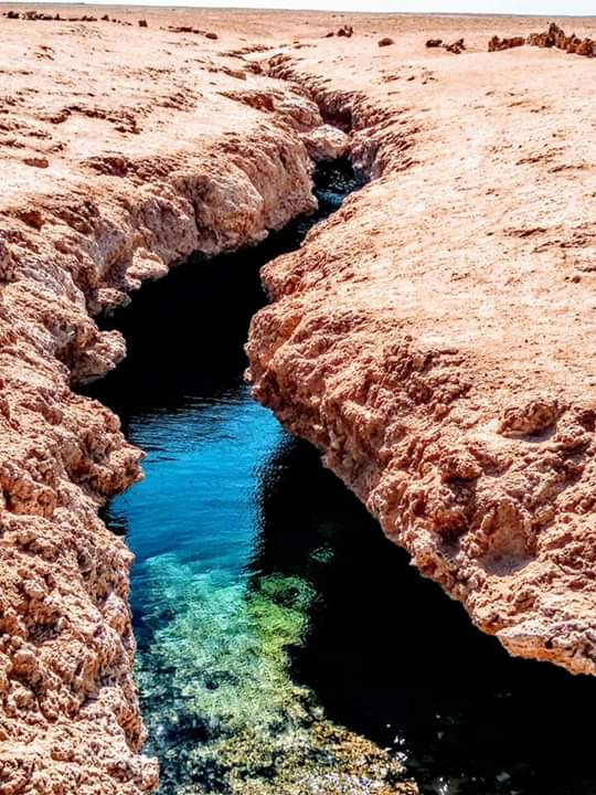 1Ras Mohammed Reserve — By bus from Sharm El Sheikh, discover the unique nature of Sinai! 🌿