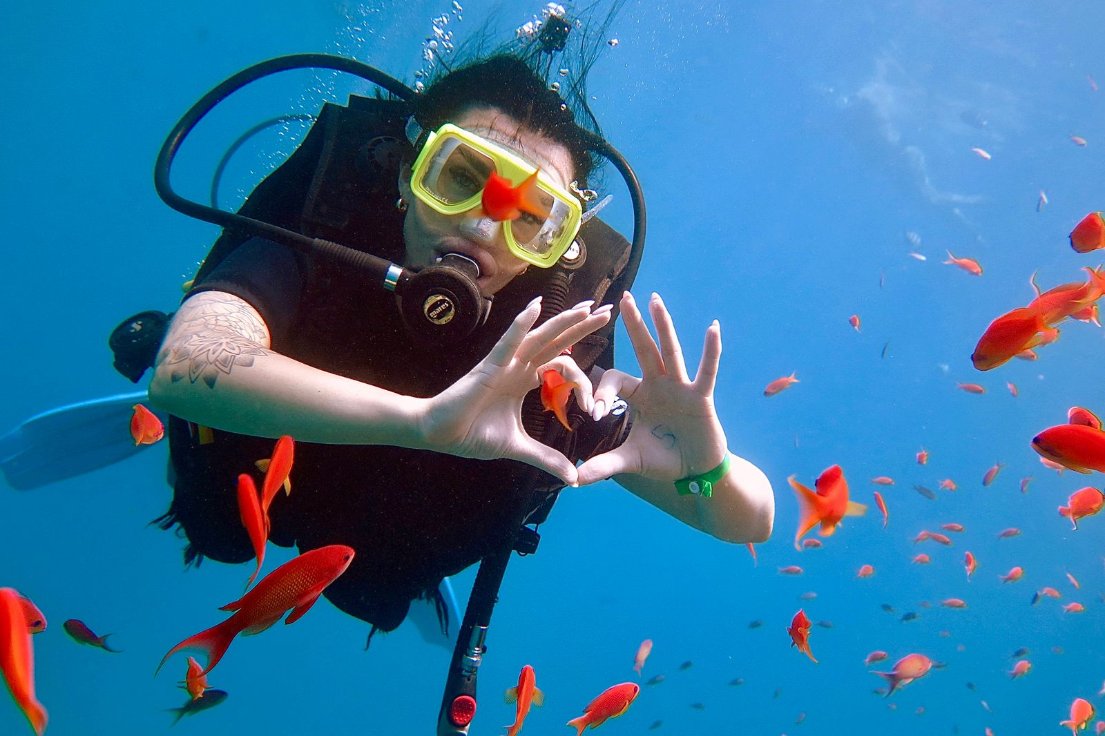 2Immersioni dalla riva a Sharm El Sheikh – scopri uno dei posti migliori al mondo per fare diving! 🤿🌊💙✨