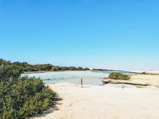 2Ras Mohammed Reserve — By bus from Sharm El Sheikh, discover the unique nature of Sinai! 🌿