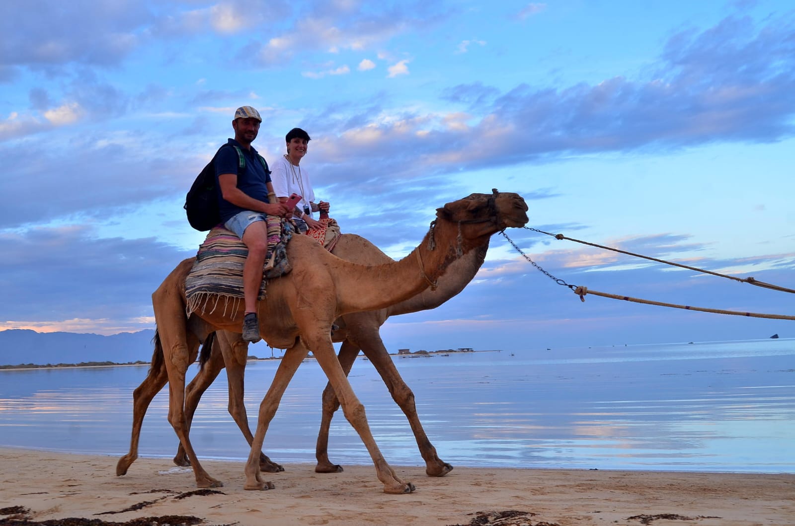 2⛺🏜️Secret of the Desert – Nabq Safari, Bedouin Culture & Seafood Lunch
