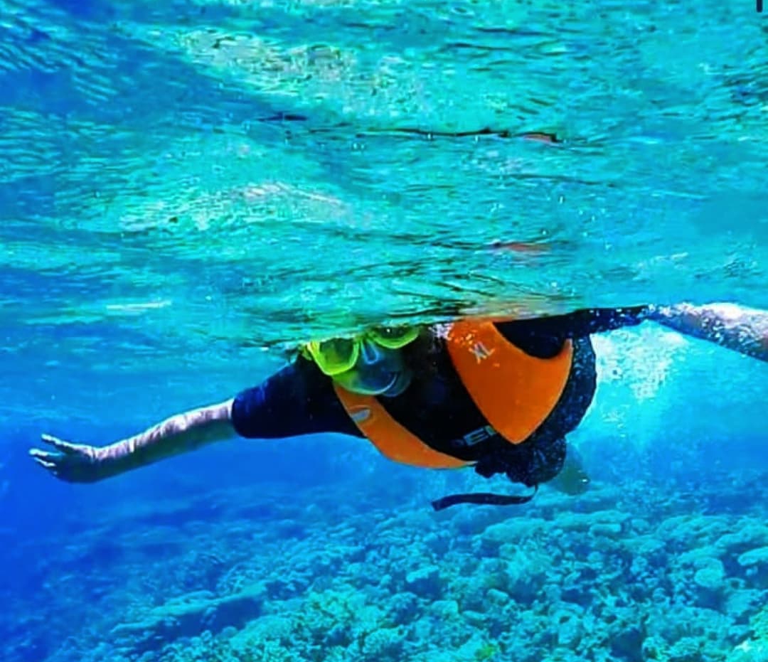 7Ras Mohammed Reserve — By bus from Sharm El Sheikh, discover the unique nature of Sinai! 🌿
