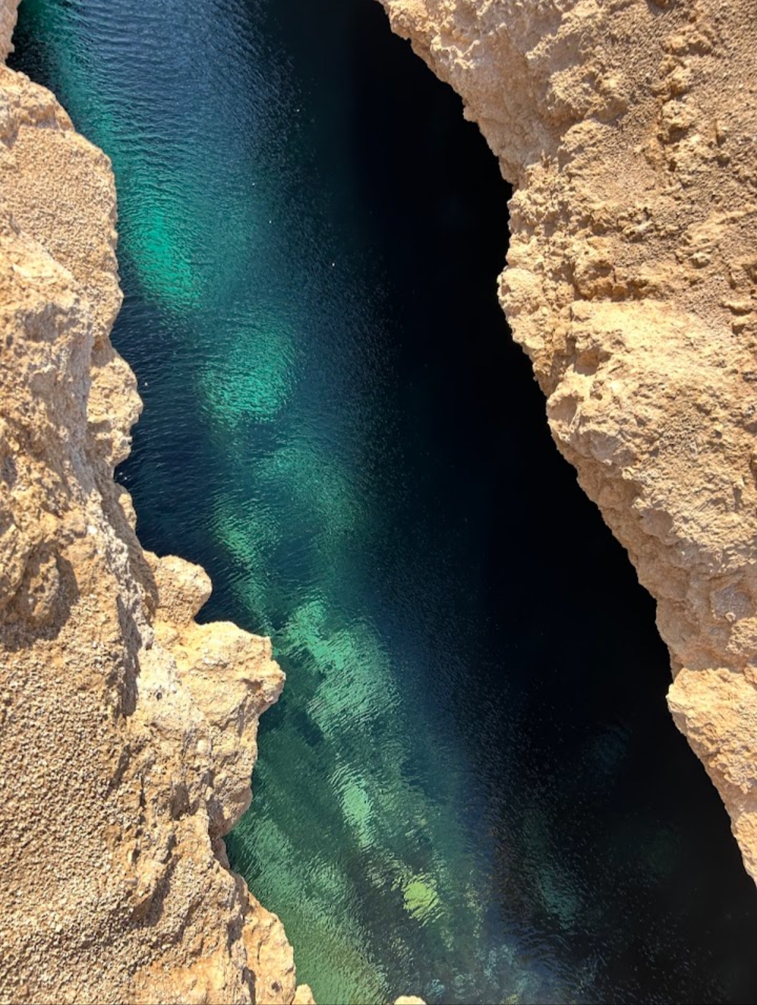 16Ras Mohammed Reserve — By bus from Sharm El Sheikh, discover the unique nature of Sinai! 🌿