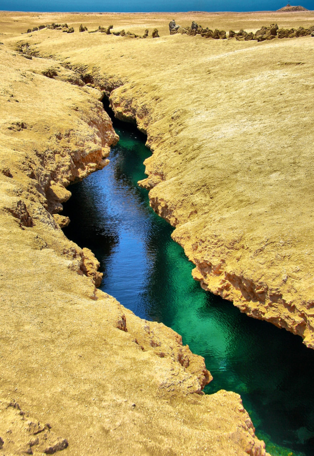 17Ras Mohammed Reserve — By bus from Sharm El Sheikh, discover the unique nature of Sinai! 🌿