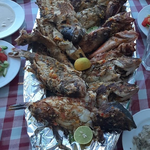 18Özel Balık Tutma ve Şnorkelle Dalış  — Mooka Tours ile Kızıldeniz’de macera!  🎣🌊