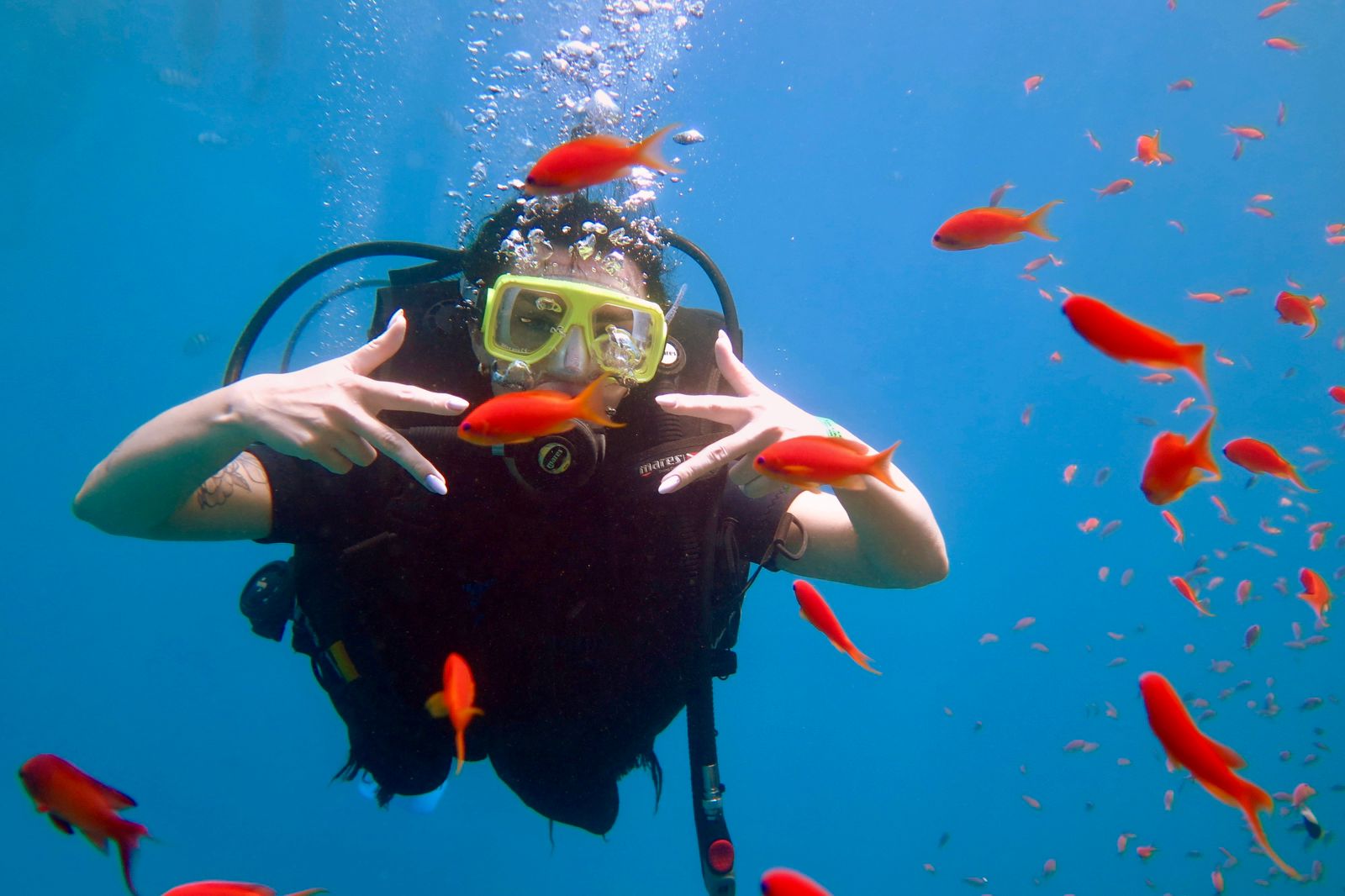 3Immersioni dalla riva a Sharm El Sheikh – scopri uno dei posti migliori al mondo per fare diving! 🤿🌊💙✨