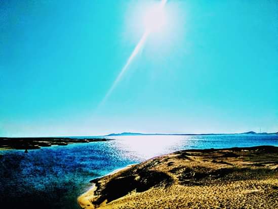 3Ras Mohammed Reserve — By bus from Sharm El Sheikh, discover the unique nature of Sinai! 🌿
