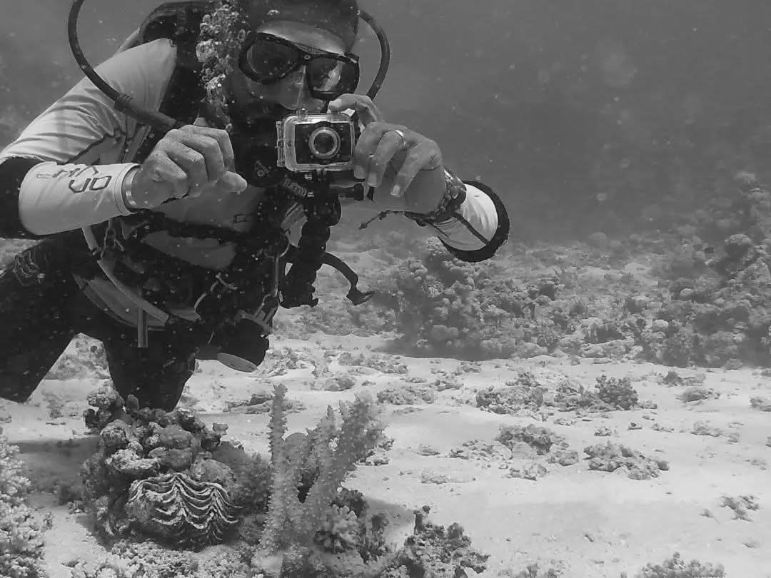 3Sharm El Sheikh – Scufundare la Epava Thistlegorm