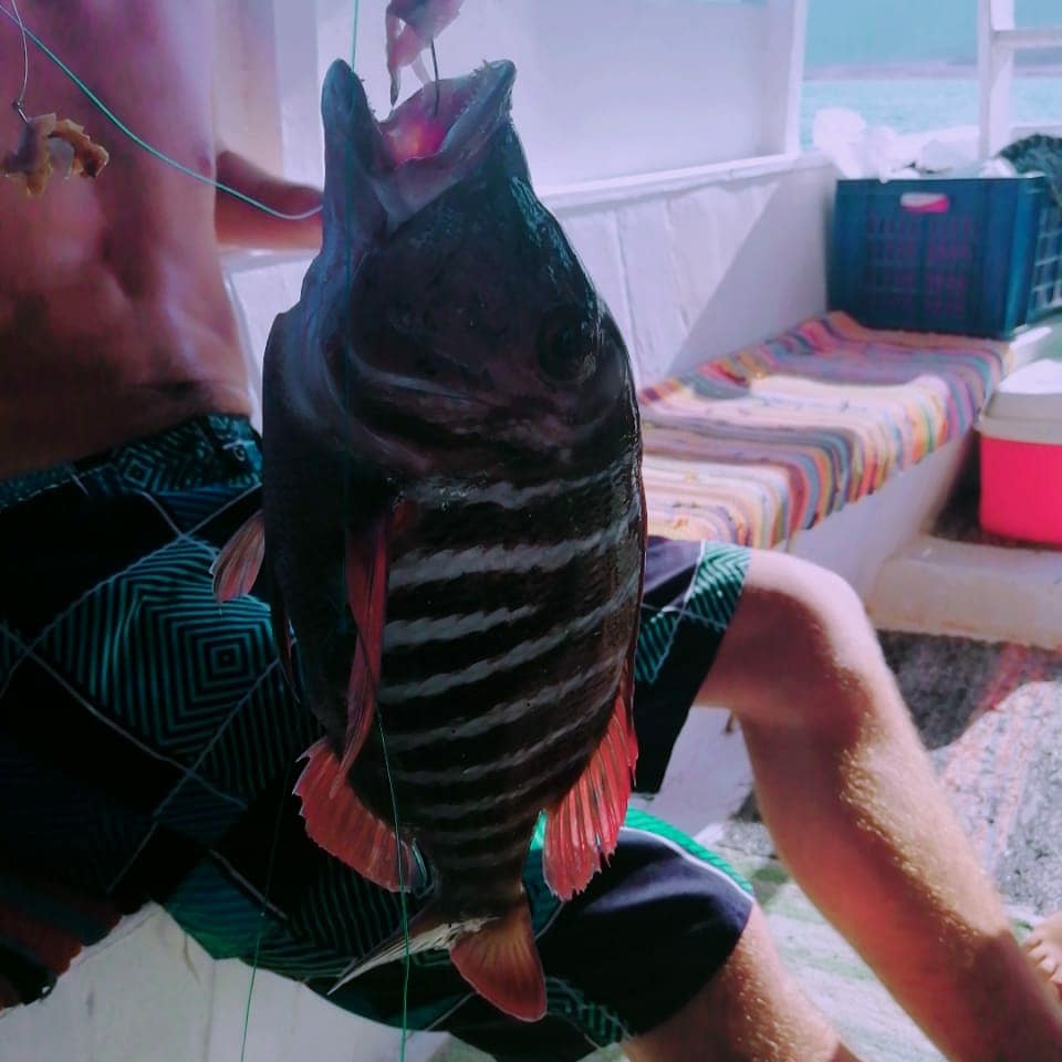 4Özel Balık Tutma ve Şnorkelle Dalış  — Mooka Tours ile Kızıldeniz’de macera!  🎣🌊