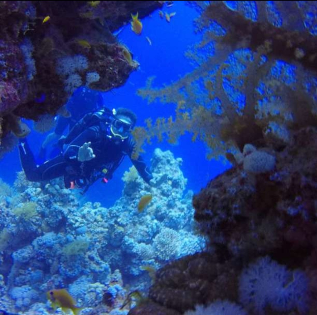 4Sharm El Sheikh – Scufundare la Epava Thistlegorm