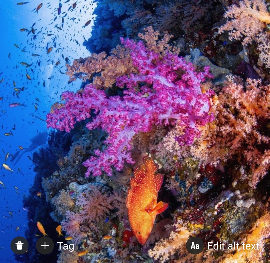 9Ras Mohammed Reserve — By bus from Sharm El Sheikh, discover the unique nature of Sinai! 🌿