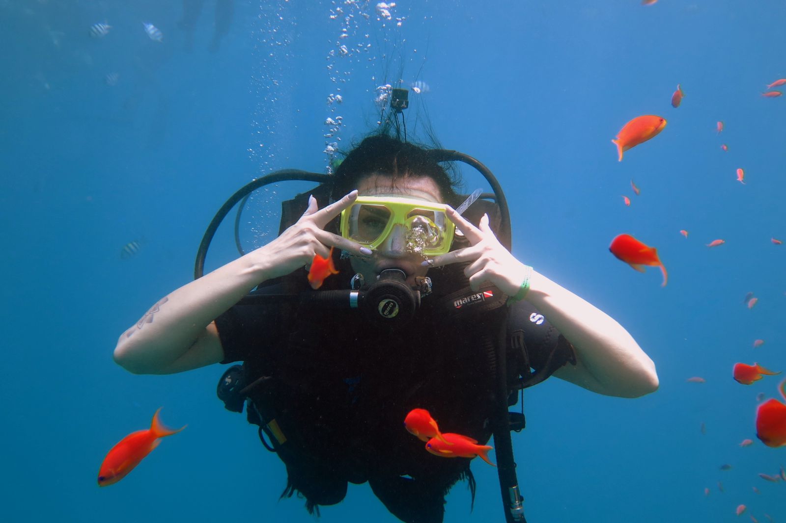 5Immersioni dalla riva a Sharm El Sheikh – scopri uno dei posti migliori al mondo per fare diving! 🤿🌊💙✨