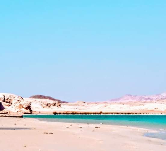 5Ras Mohammed Reserve — By bus from Sharm El Sheikh, discover the unique nature of Sinai! 🌿