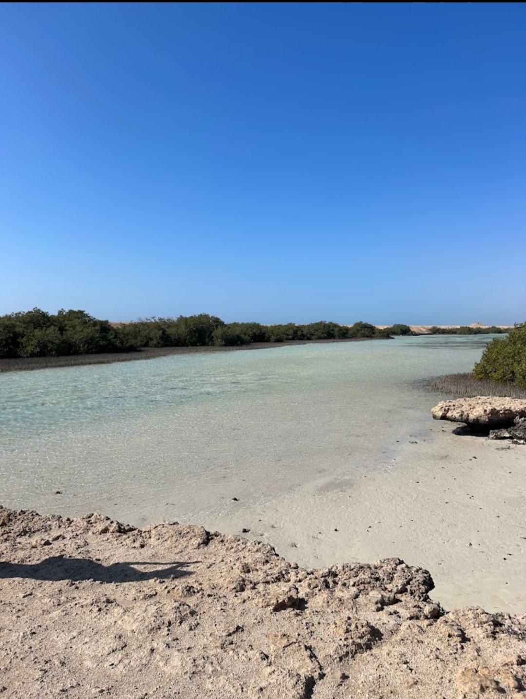 10Ras Mohammed Reserve — By bus from Sharm El Sheikh, discover the unique nature of Sinai! 🌿
