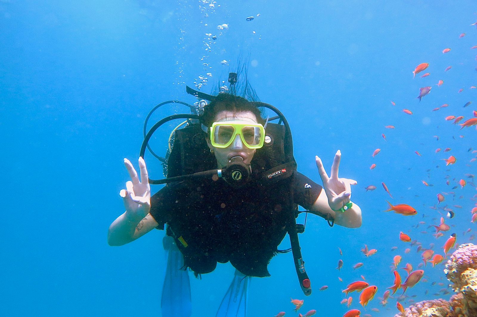 7Immersioni dalla riva a Sharm El Sheikh – scopri uno dei posti migliori al mondo per fare diving! 🤿🌊💙✨
