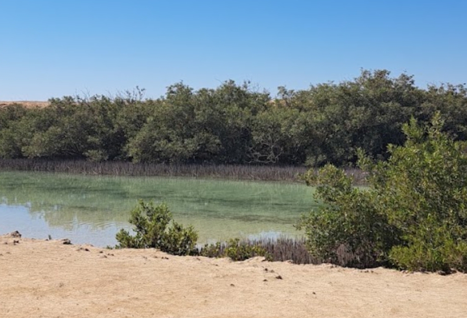12Ras Mohammed Reserve — By bus from Sharm El Sheikh, discover the unique nature of Sinai! 🌿