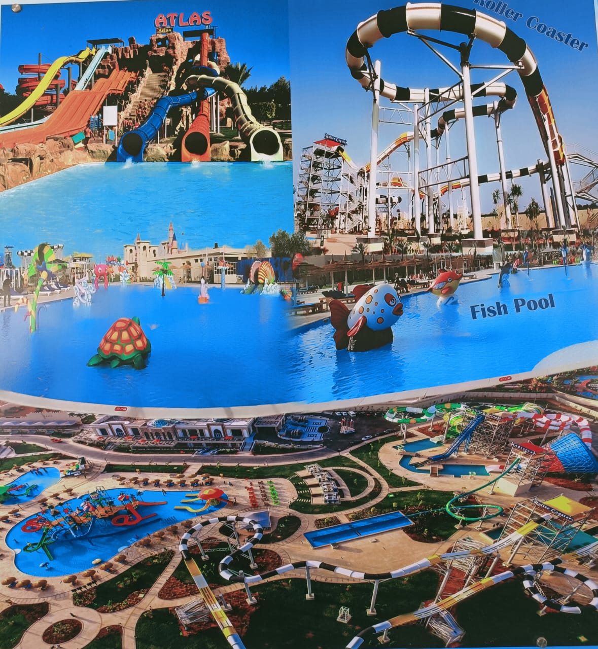 8Albatros Aqua Park Sharm El Sheikh – Najlepszy park wodny! 💦