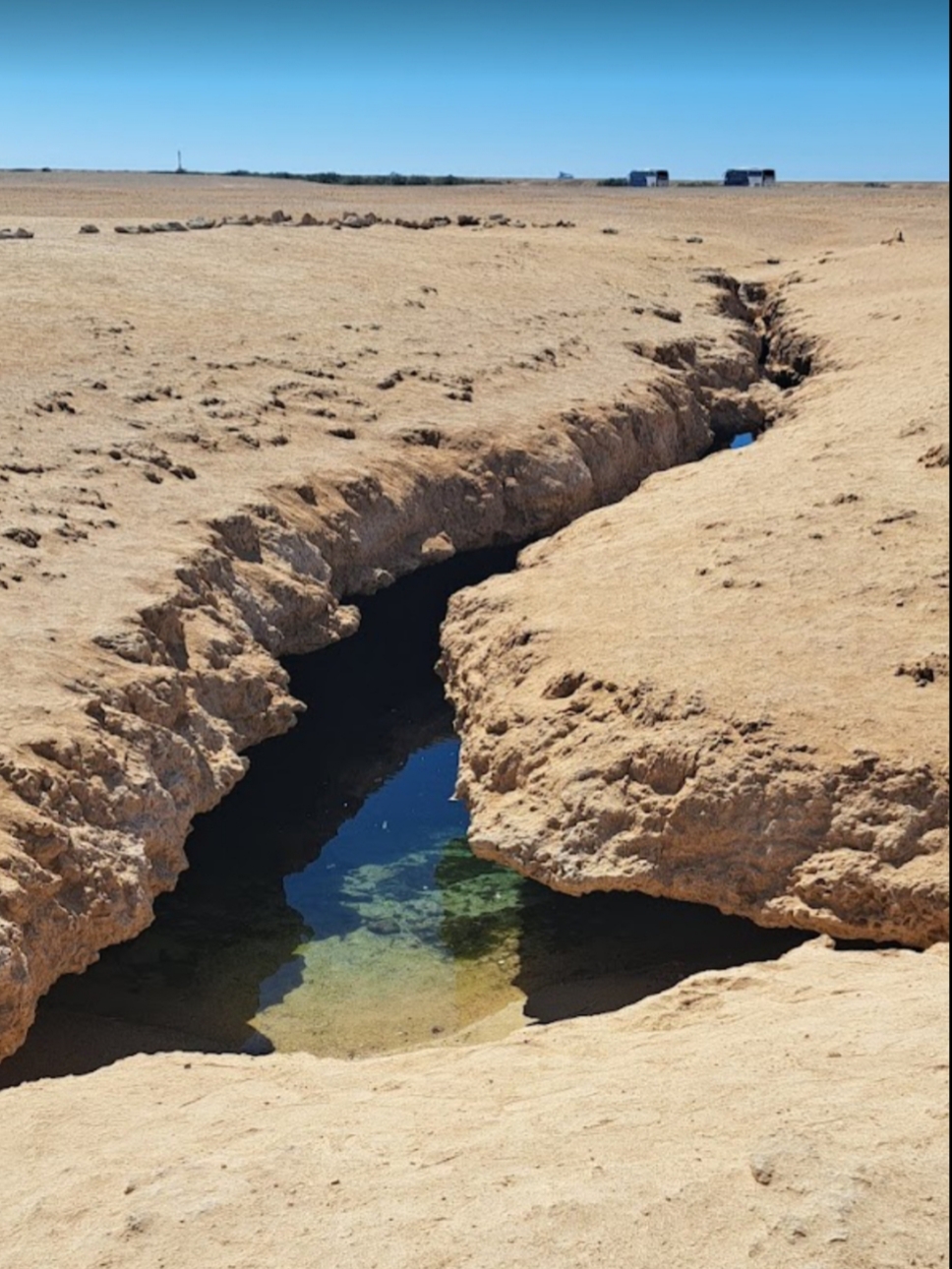 13Ras Mohammed Reserve — By bus from Sharm El Sheikh, discover the unique nature of Sinai! 🌿