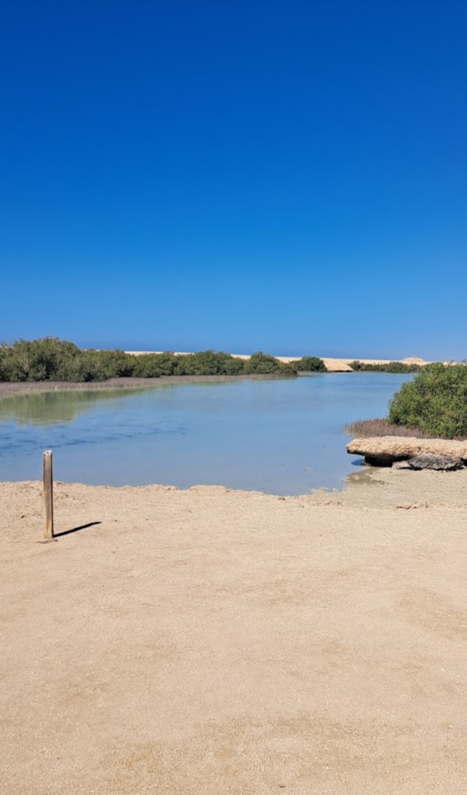 14Ras Mohammed Reserve — By bus from Sharm El Sheikh, discover the unique nature of Sinai! 🌿