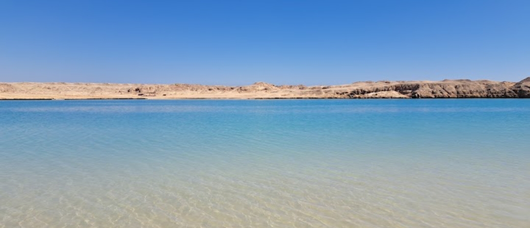 15Ras Mohammed Reserve — By bus from Sharm El Sheikh, discover the unique nature of Sinai! 🌿