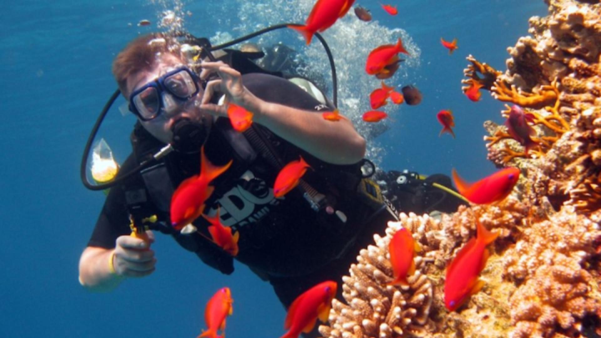 Marea Roșie — un paradis pentru iubitorii de soare, mare și aventură. 🌊☀️