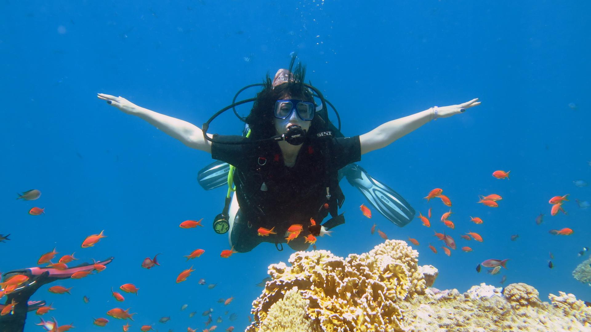 🇮🇹 Perché i turisti scelgono Mooka Tours a Sharm El Sheikh