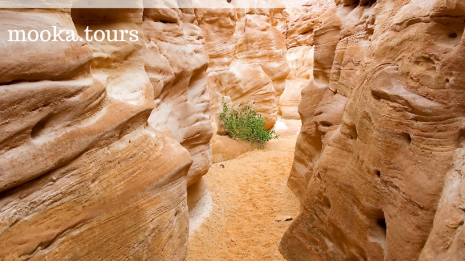 Синайський півострів: земля таємниць, краси та пригод