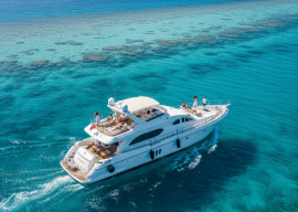 🌊Морские и яхтенные экскурсии