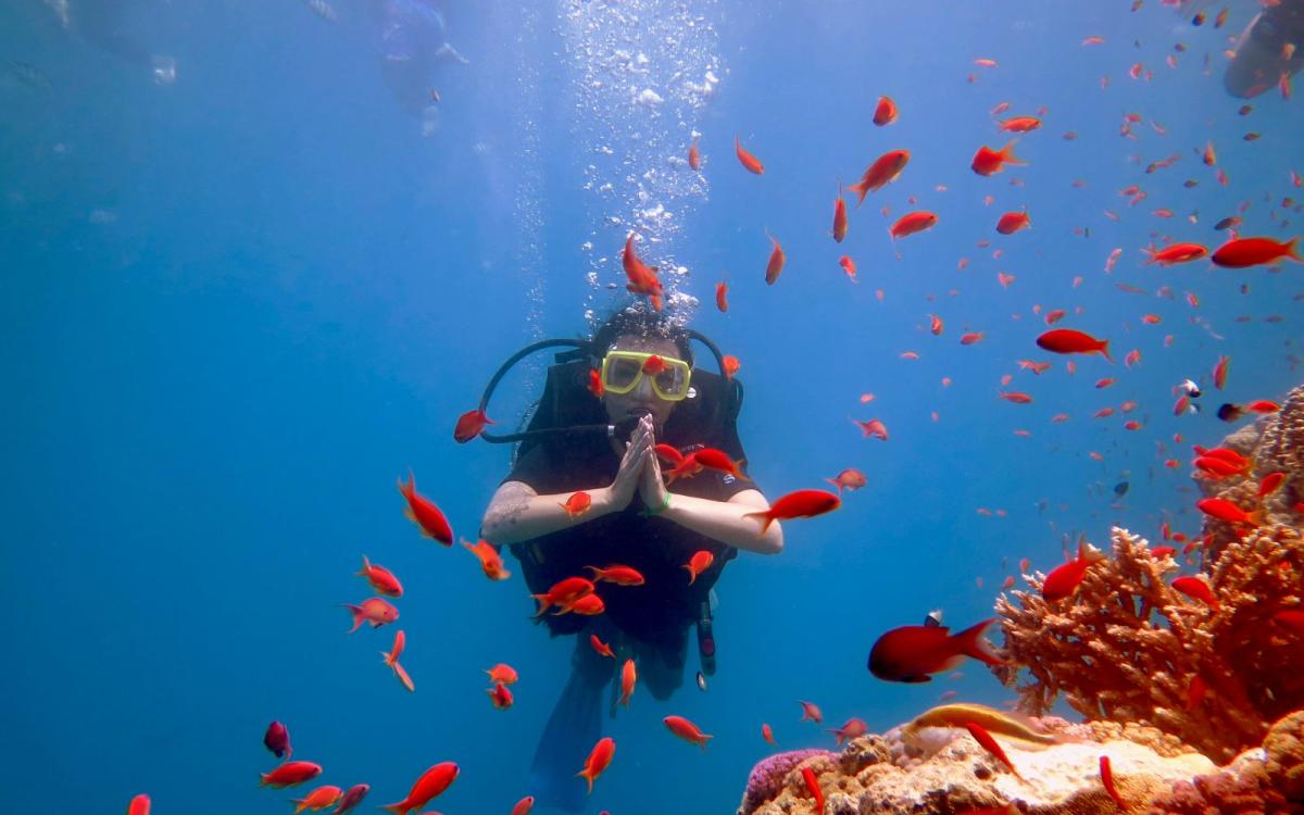 Дайвінг з берега в Шарм-ель-Шейху - відкрийте одне з найкращих місць для підводного занурення! 🤿🌊💙✨