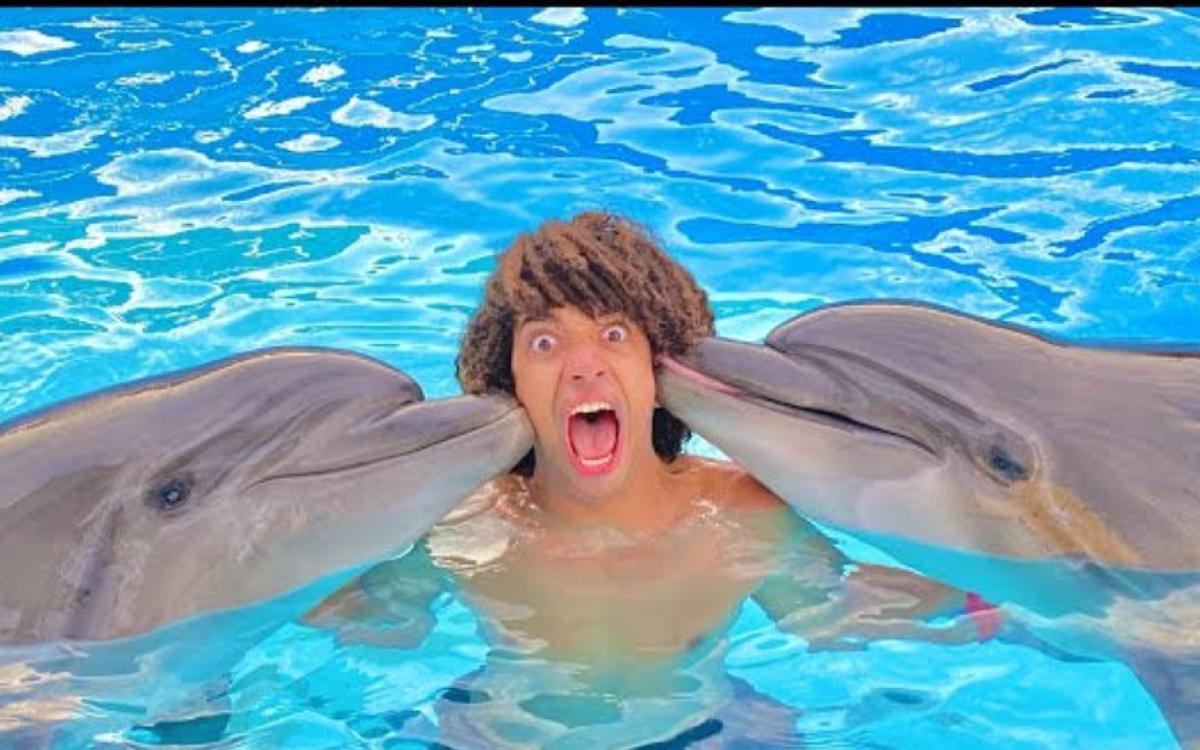 Înot cu delfinii din Sharm El Sheikh – emoții de neuitat și bucurie pură în apă! 🐬💙✨