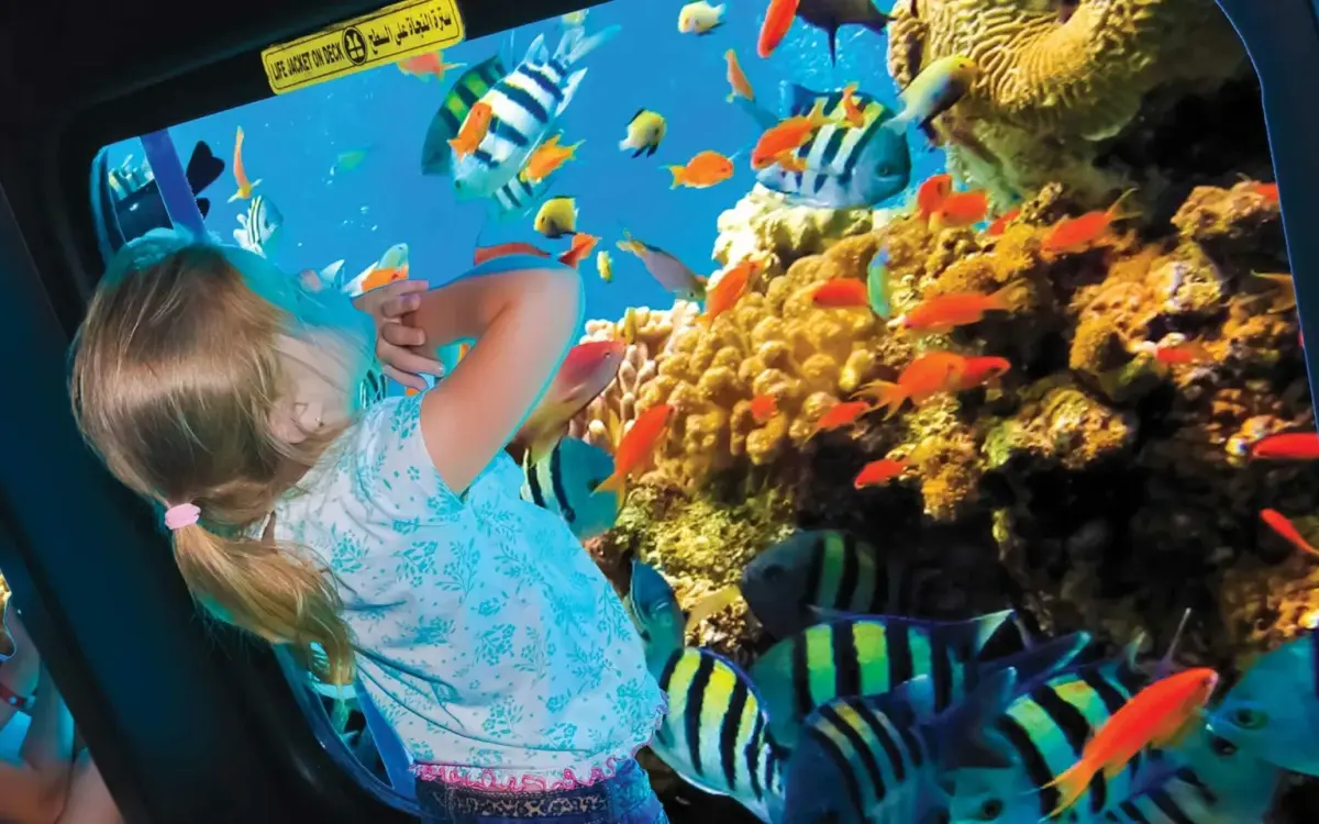 Il mondo sottomarino di Hurghada: batiscafo e snorkeling 🌊🐠✨