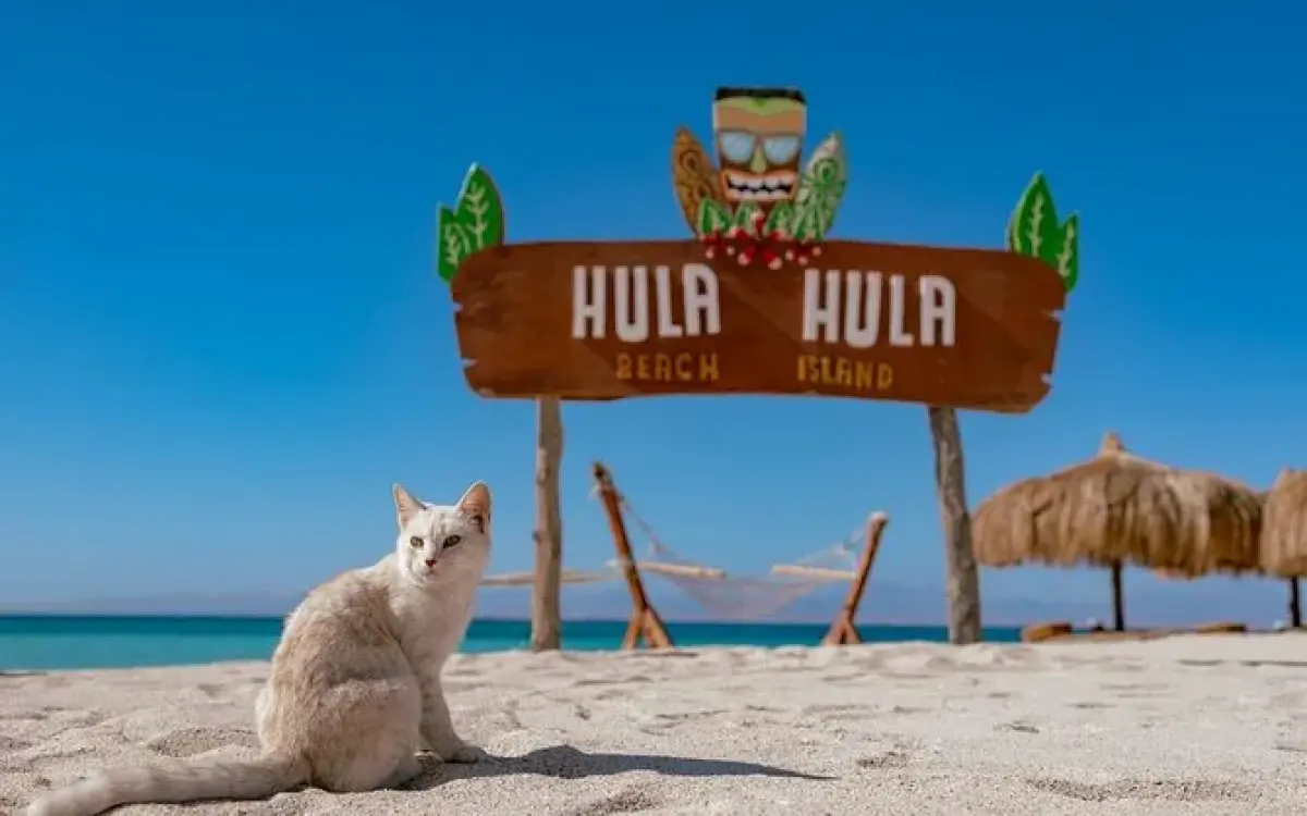 Райский остров Хула-Хула, из Хургады. Почувствуй уединение с природой .