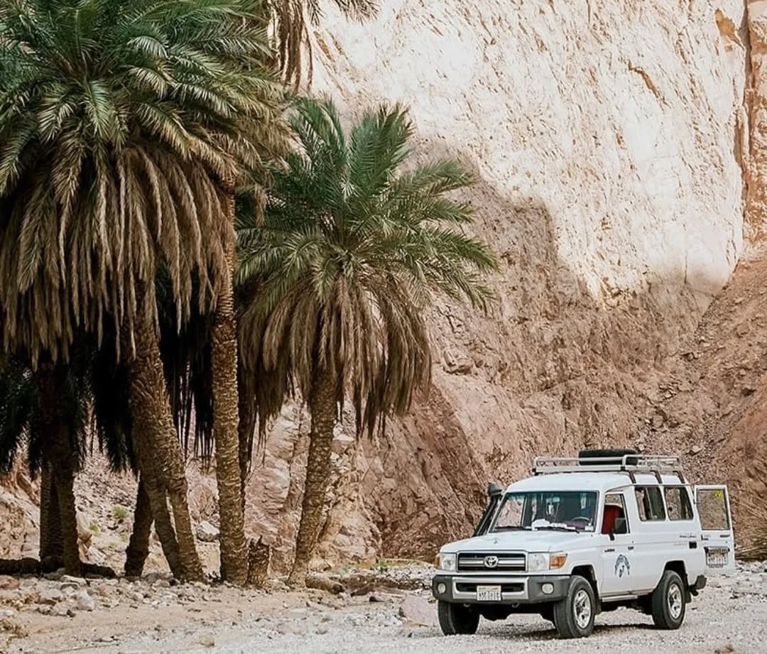 2Renkli Kanyon & Dahab — Şarm El Şeyh’ten, çölün denizle buluştuğu yer!  🏜️🌊✨