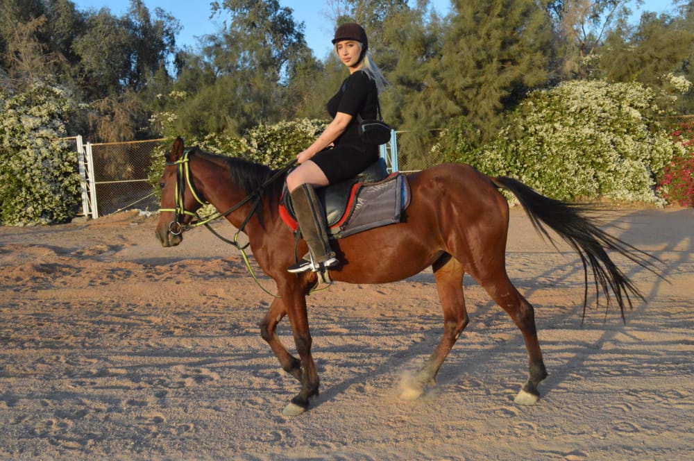 1Sharm El Sheikh’te At Binme – Altın Çölün Özgürlüğünü Hissedin! 🏇