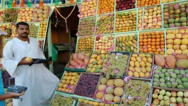 2Escursione panoramica individuale a Hurghada.