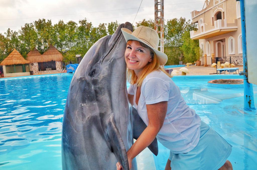6Swimming with Dolphins from Sharm El Sheikh – unforgettable emotions and pure joy in the water! 🐬💙✨