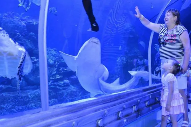 2Hurghada’daki Grand Aquarium ve hayvanat bahçesi gezisi.