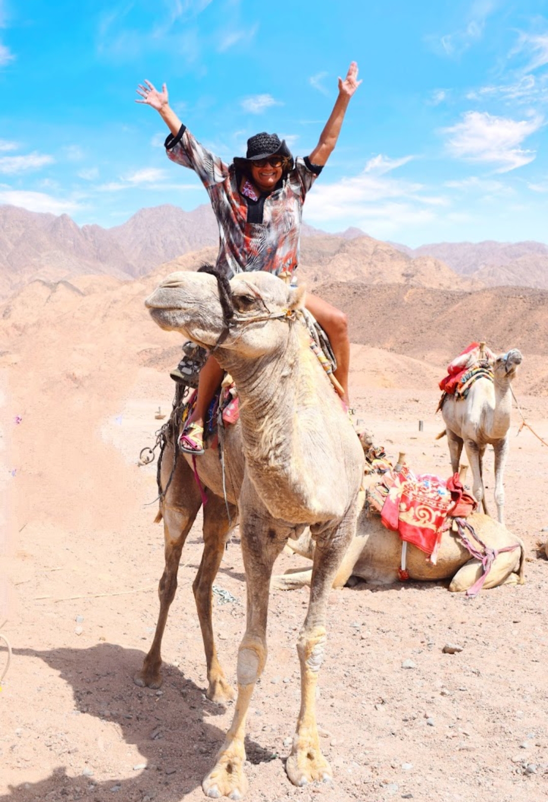 14Renkli Kanyon & Dahab — Şarm El Şeyh’ten, çölün denizle buluştuğu yer!  🏜️🌊✨