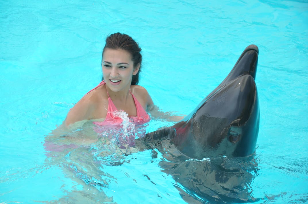 2Swimming with Dolphins from Sharm El Sheikh – unforgettable emotions and pure joy in the water! 🐬💙✨