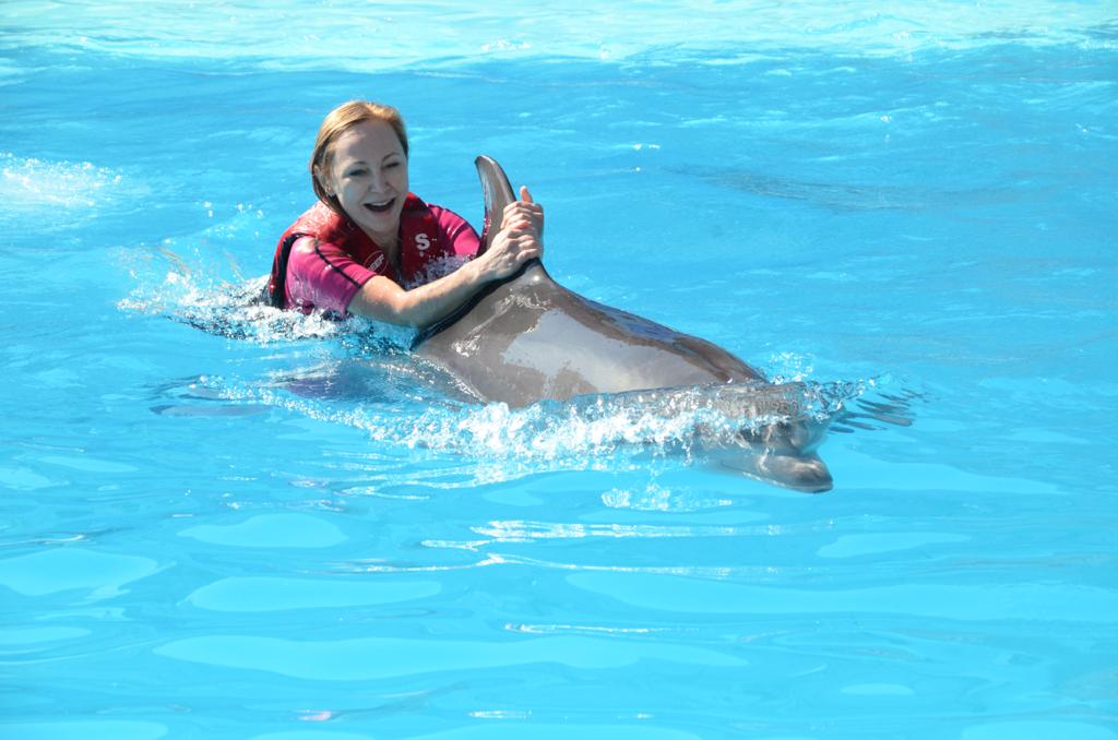 7Swimming with Dolphins from Sharm El Sheikh – unforgettable emotions and pure joy in the water! 🐬💙✨