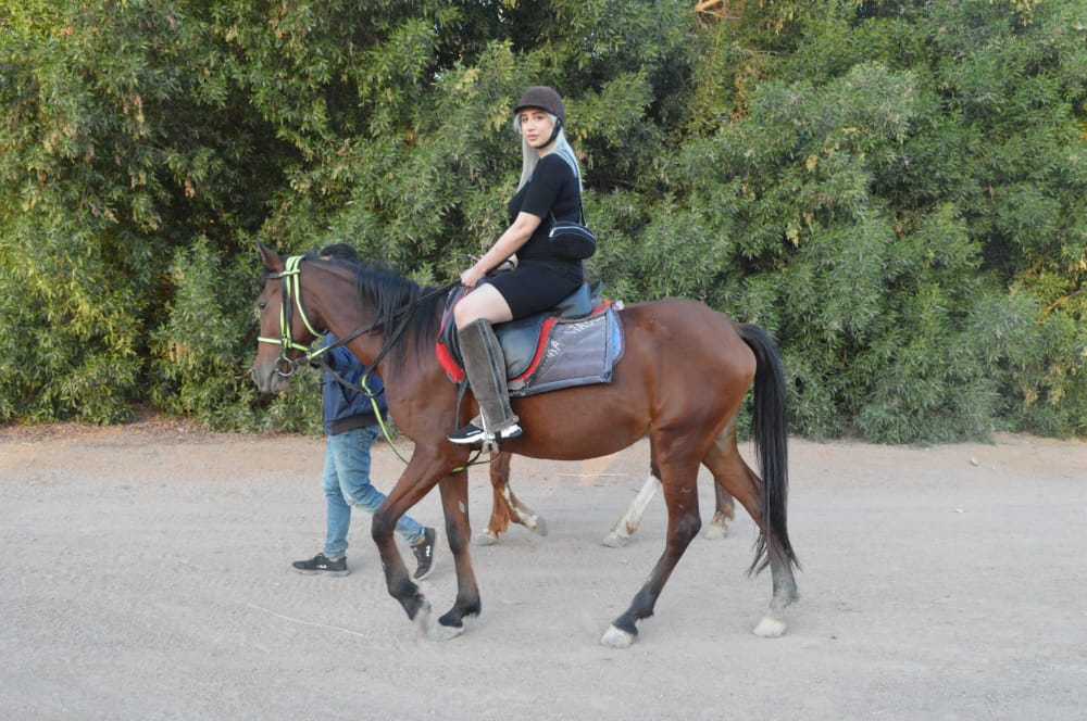 3Sharm El Sheikh’te At Binme – Altın Çölün Özgürlüğünü Hissedin! 🏇